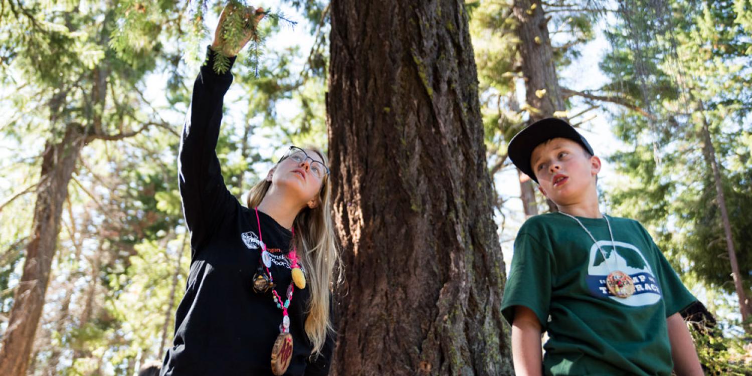 An Outdoor School counselor (left) shows a participating child needles on a tree