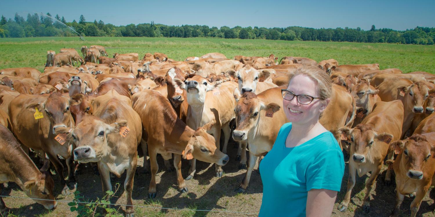 Jenifer Cruickshank with a herd of jersey heifers at Forest Glen Oaks Dairy in Yamhill County.