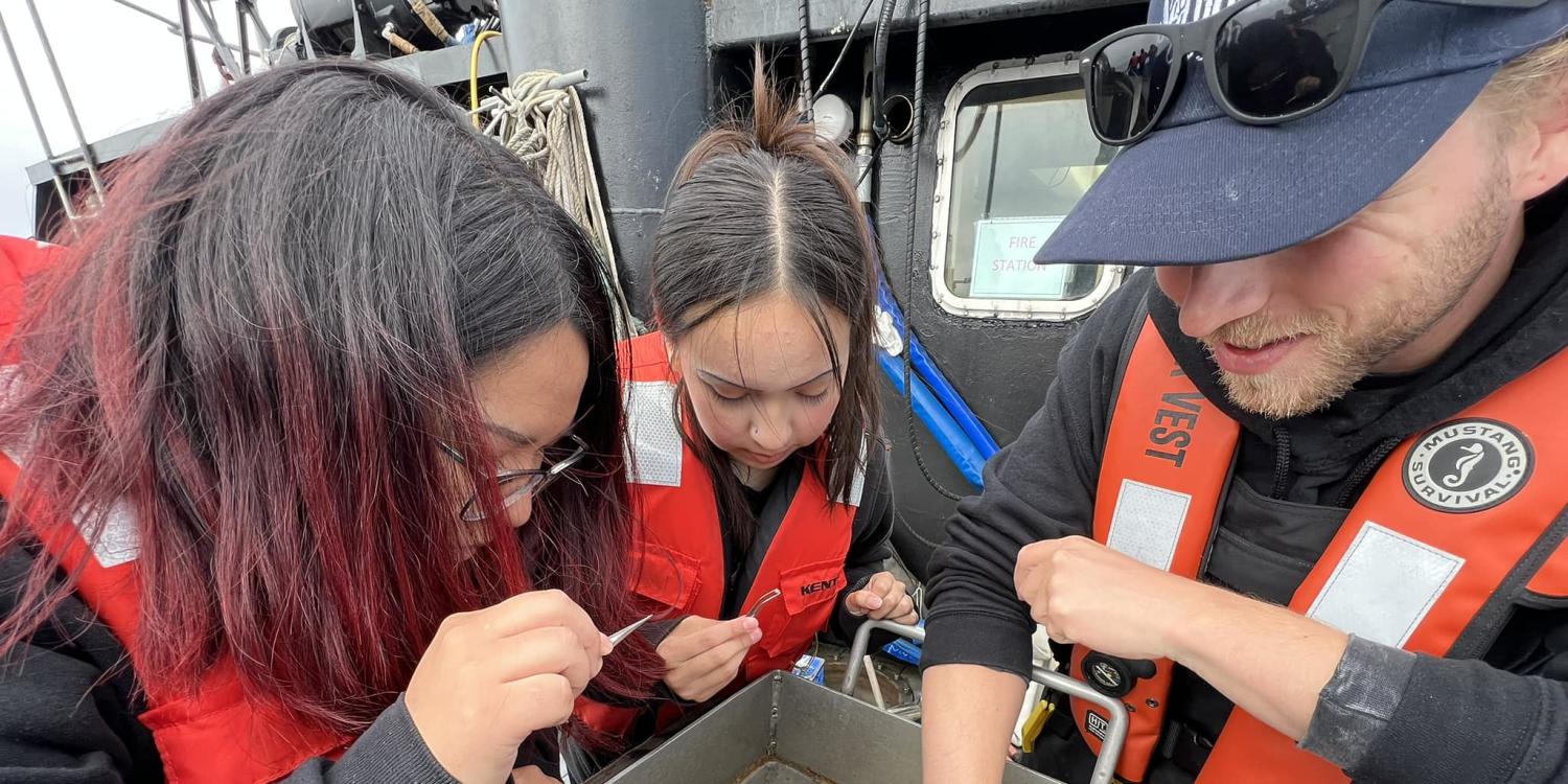 Matthew Vaughan (right), a doctoral student in Oregon State University's College of Science, and two Chemawa Indian School students use a sieve and forceps to sort through sediment from the seafloor.