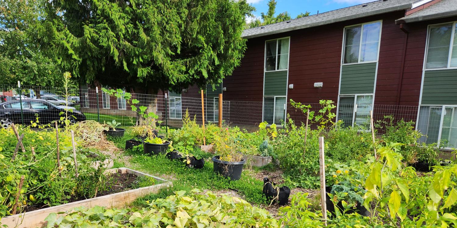 Garden to Table provided support to build a new community garden at Tice Park Apartments in McMinnville that includes 15 new raised beds and 10 new containers to serve 60-80 residents.