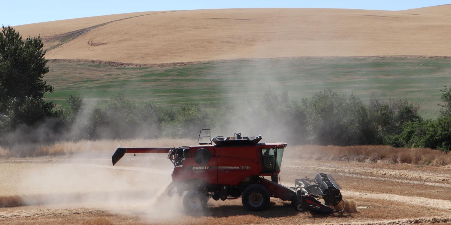 A combine cuts wheat in North-Central Oregon.