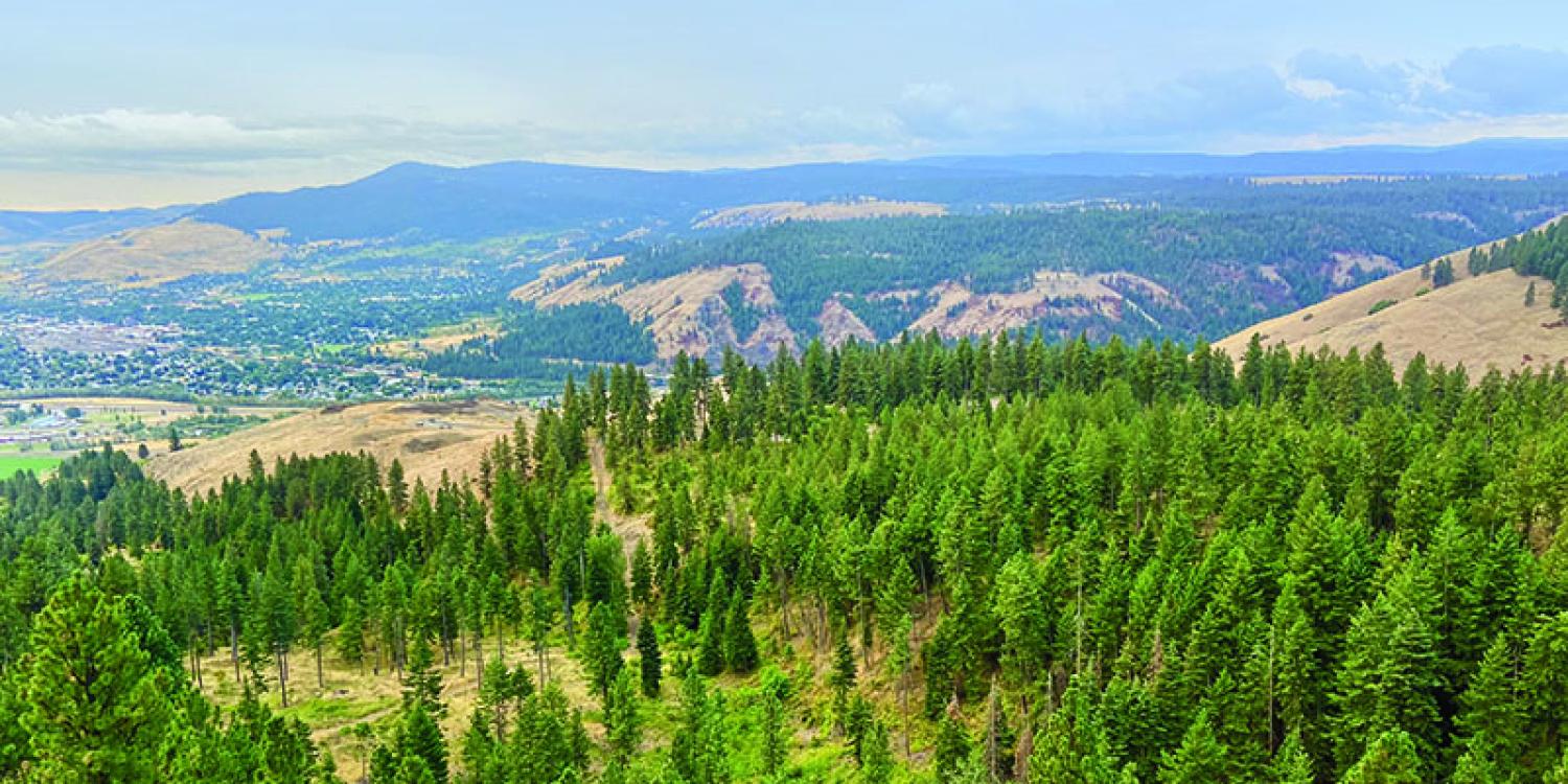 Oregon landscape