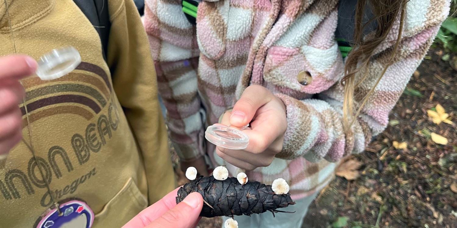 Two youths examine a pine cone covered with small white mushrooms, holding magnifying lenses during an outdoor learning activity.