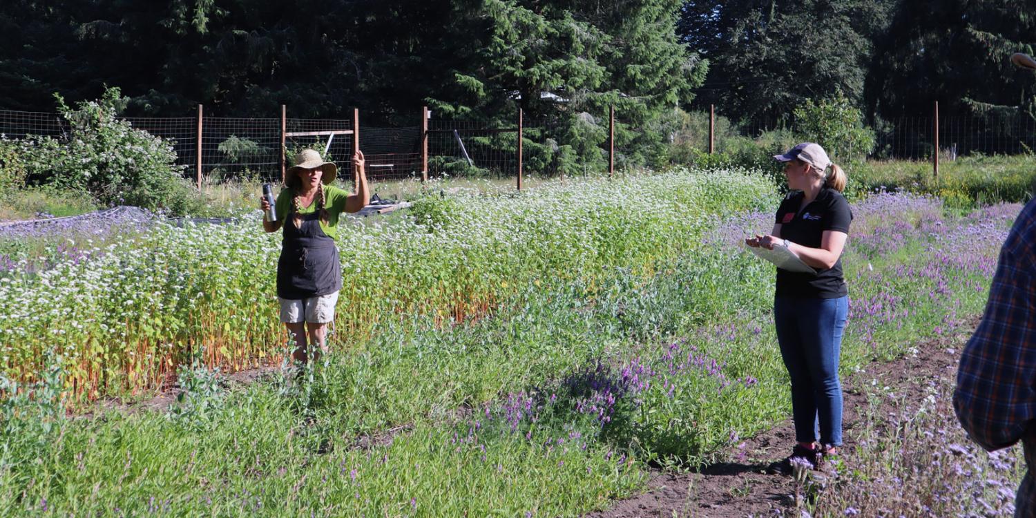 Teresa Retzlaff of 46 North Farm speaks to participants during a field day in a coastal farm field planted with flowering cover crops.
