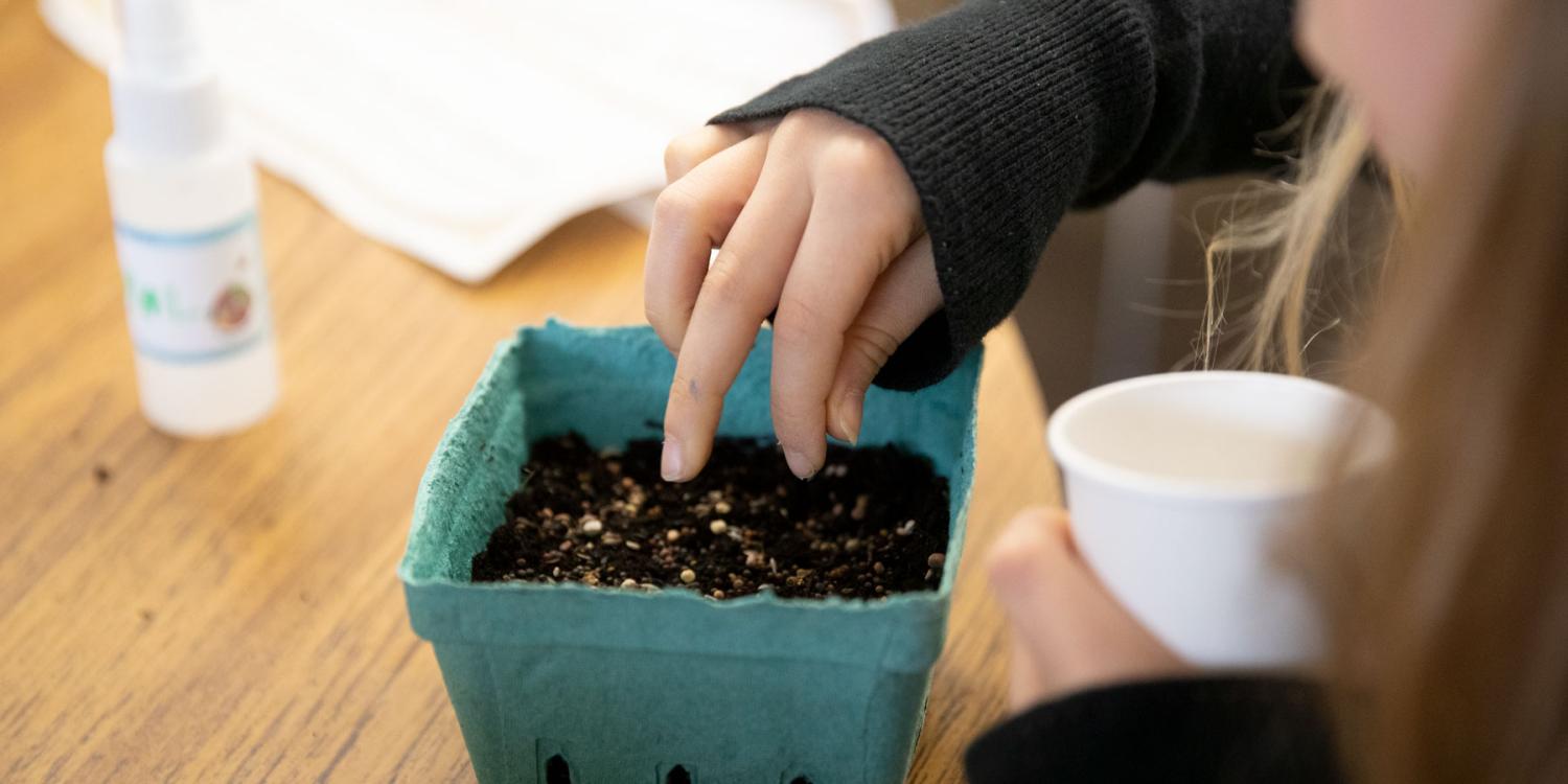 A youth plants small seeds into soil in a container while holding a cup of seeds nearby.