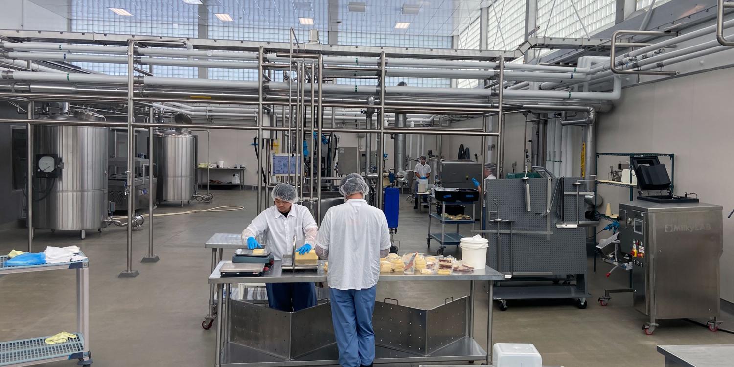 Workers in hairnets and gloves process dairy products at a stainless-steel workstation inside a modern dairy processing plant with large tanks and piping.