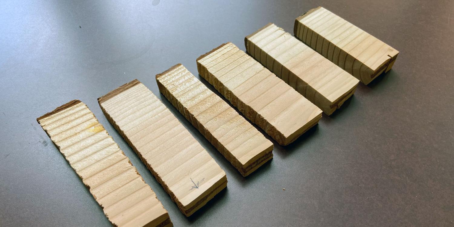 Six rectangular Douglas-fir wood samples arranged in a row on a gray surface, each showing different grain patterns and saw cuts.