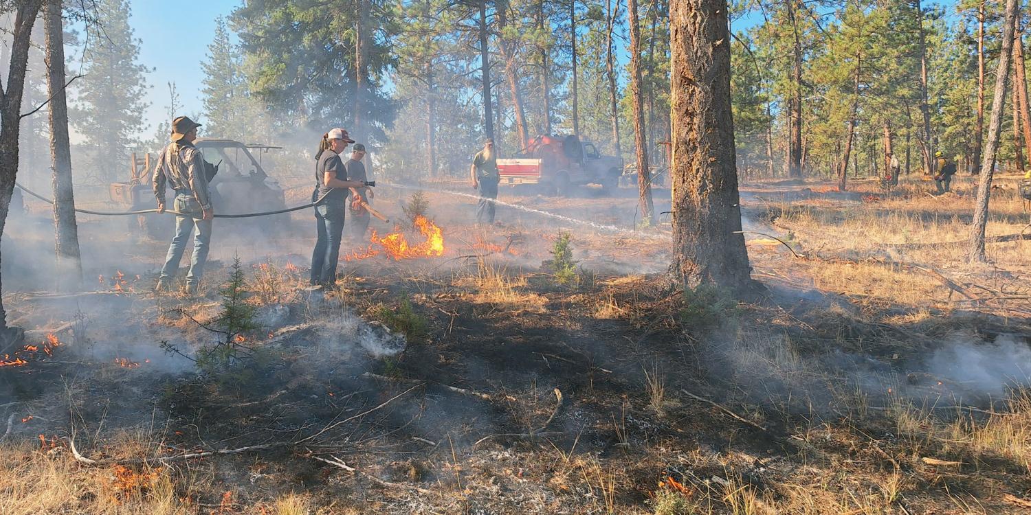 Fire crew conducts a prescribed burn in a pine forest, using drip torches and hoses to manage low flames across dry grass and forest floor while smoke drifts through the trees.