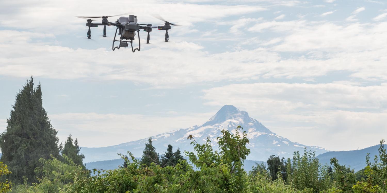 Agricultural drone flies above orchard trees with Mount Hood rising in the background under a partly cloudy sky.