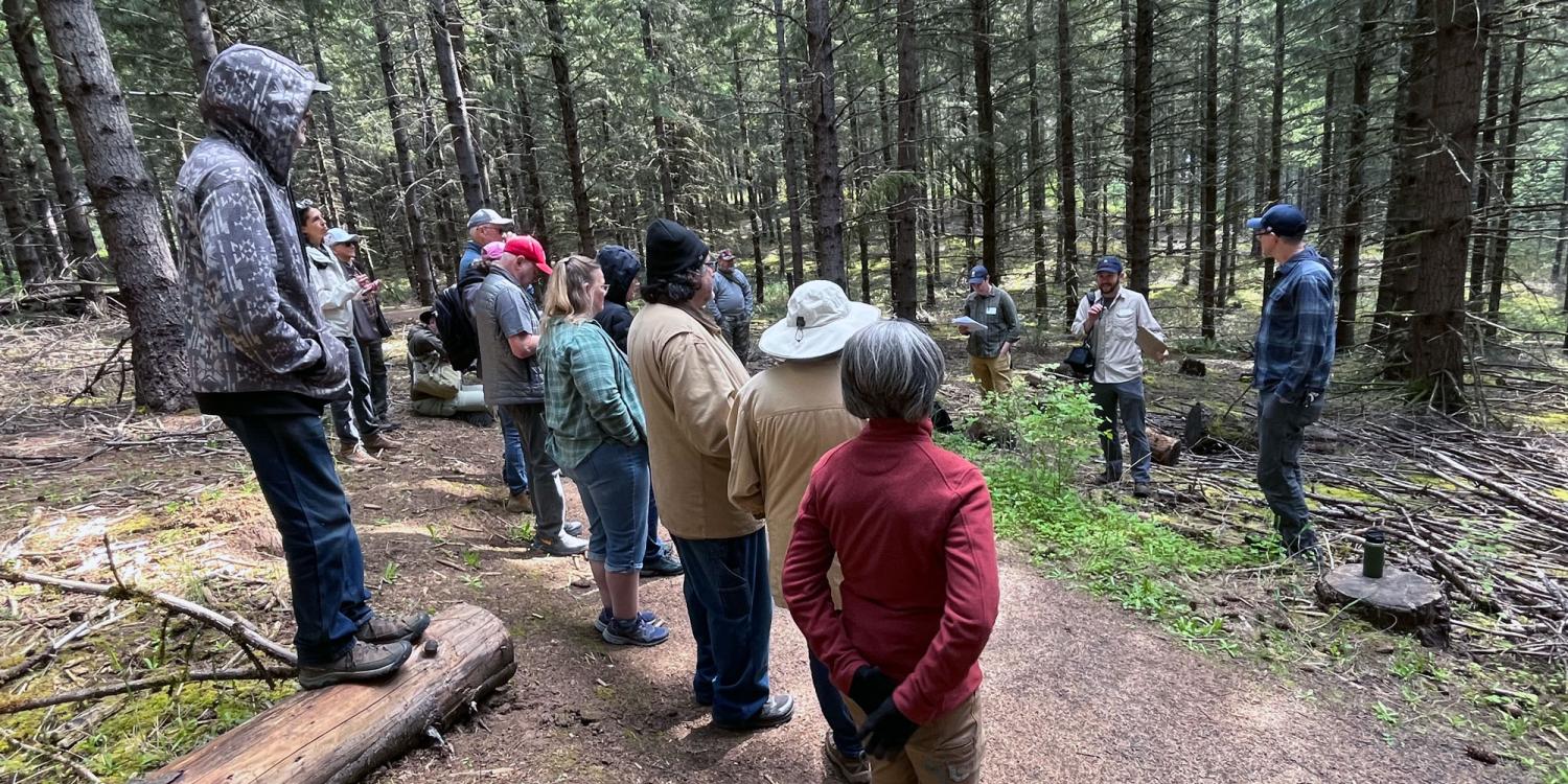 Group of adults stands on a forest trail listening to presenters discuss forest conditions during an outdoor field tour among dense evergreen trees.
