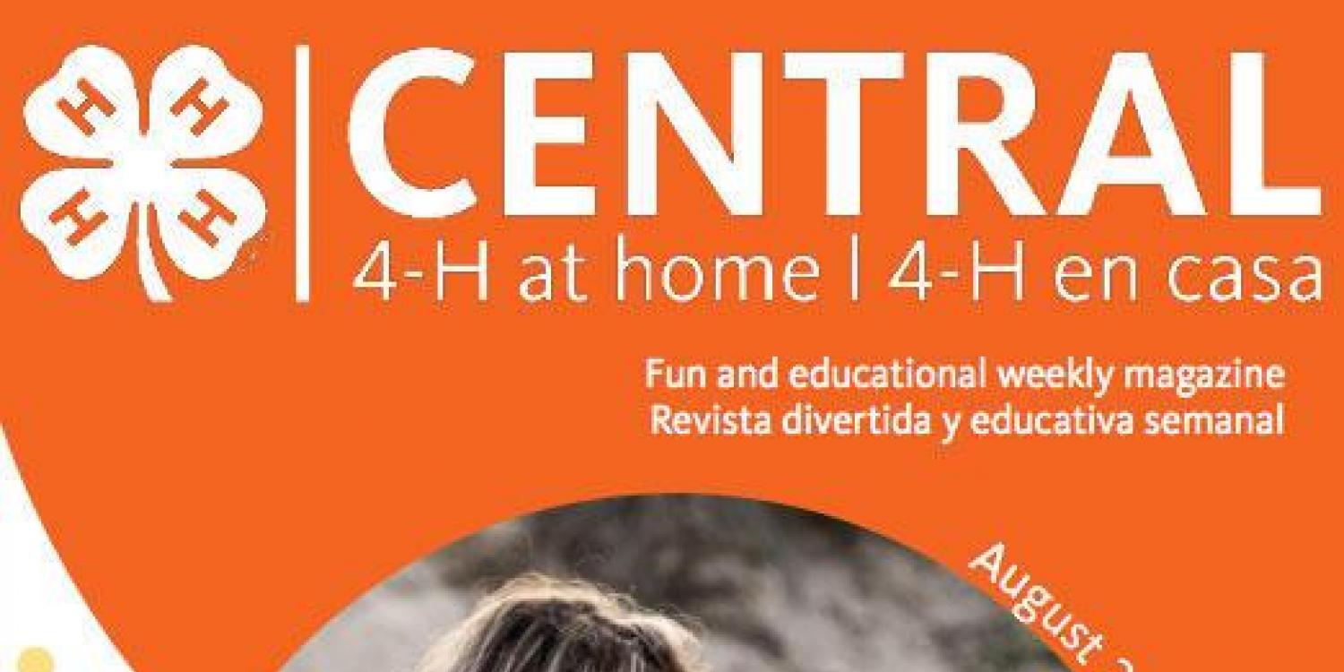 Every 4-H Central issue includes an activity that represents the four “Hs” that figure in the youth development organization’s name: head, heart, hands and health.