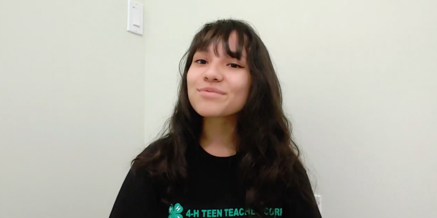 A teenage girl, one of the 4-H Teen teachers