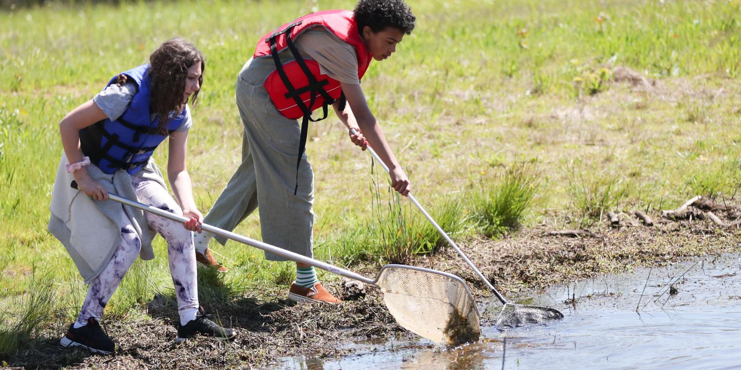 Two youths dip nets into a pond to collect samples at the 4-H Wildlife Stewards Youth Summit.