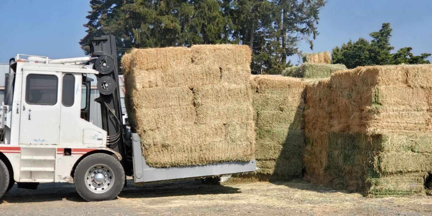 A forklift moves donated hay at the North Willamette Research and Extension Center.