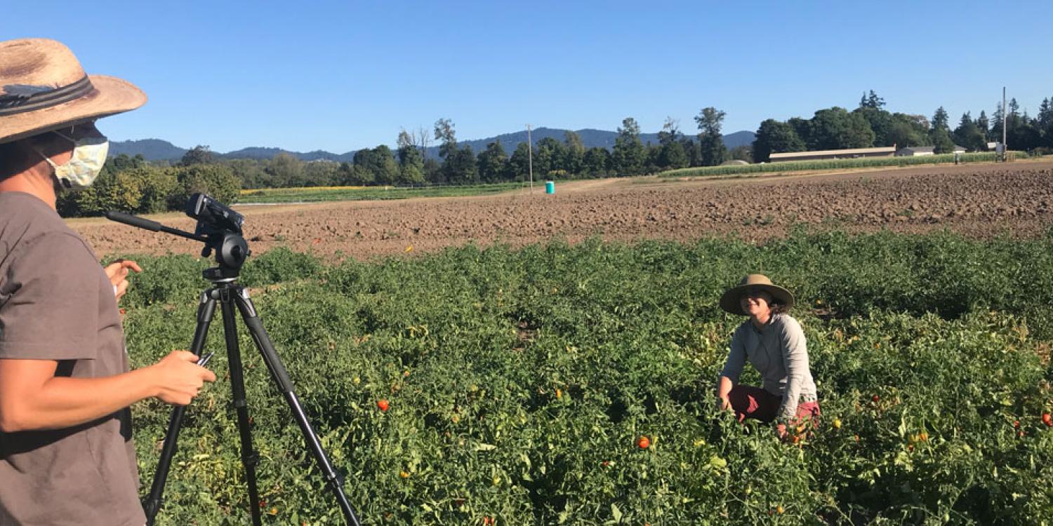 Recording a virtual dry farming field tour.