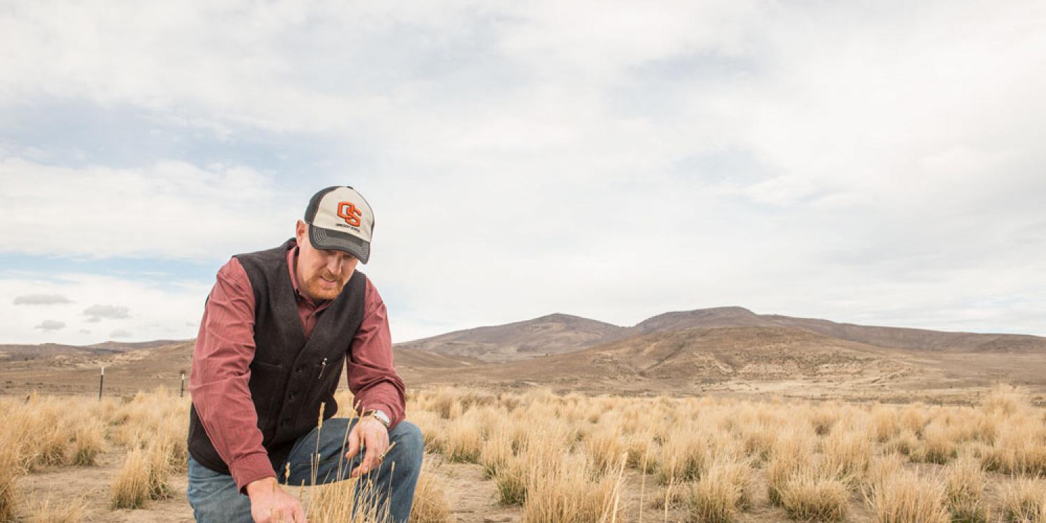 Dustin Johnson, associate professor of practice and Extension livestock and rangeland field faculty