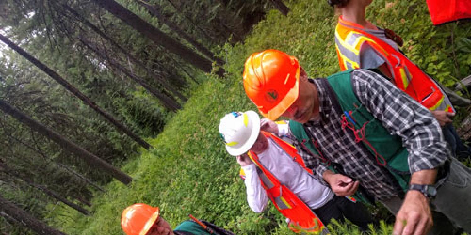 Forest technicians training in northeast Oregon