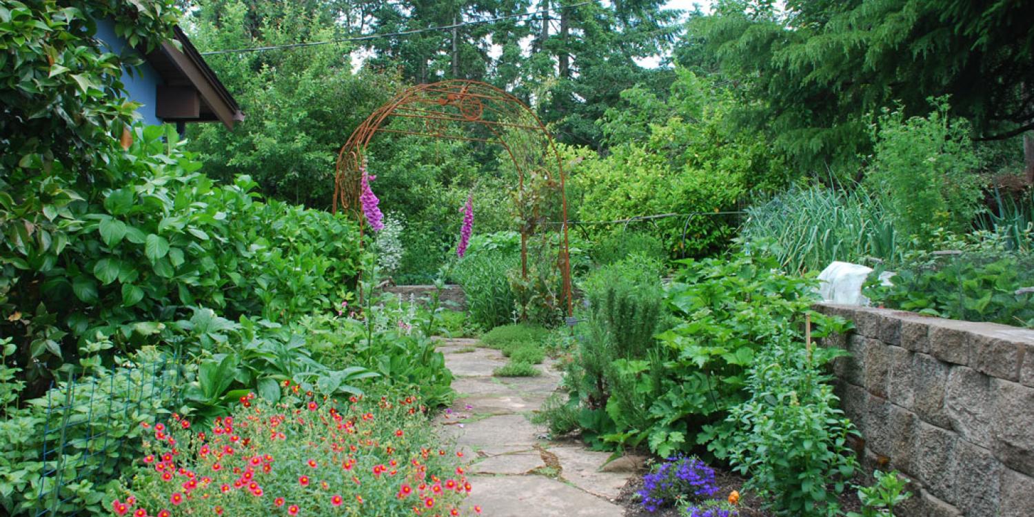 A backyard garden path flanked on both sides by flowers, bushes and other greenery.