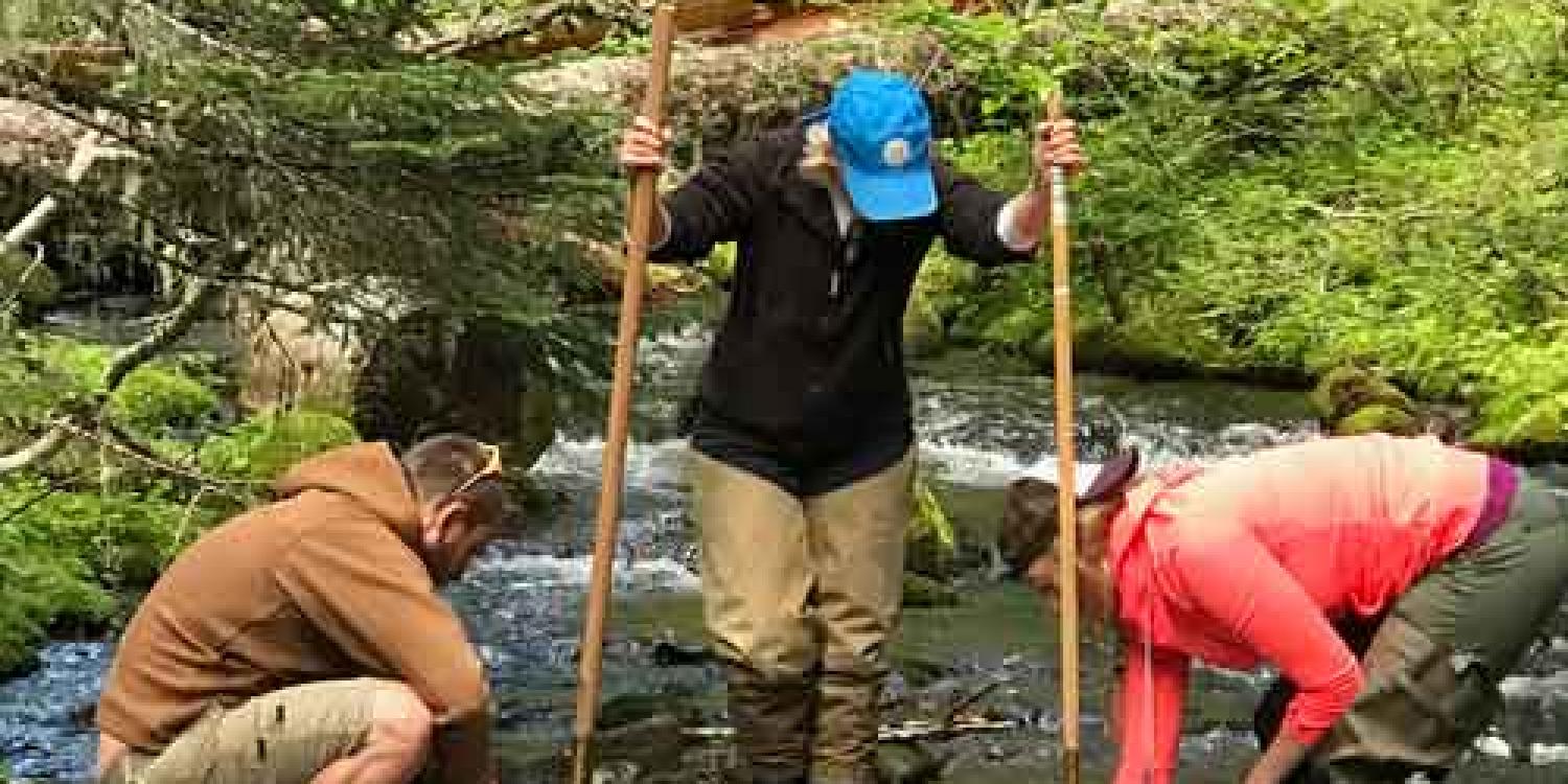Participants take a seven-session course that pairs with the online OSU Master Naturalist class to make up the formal education requirements for becoming an Oregon Master Naturalist.