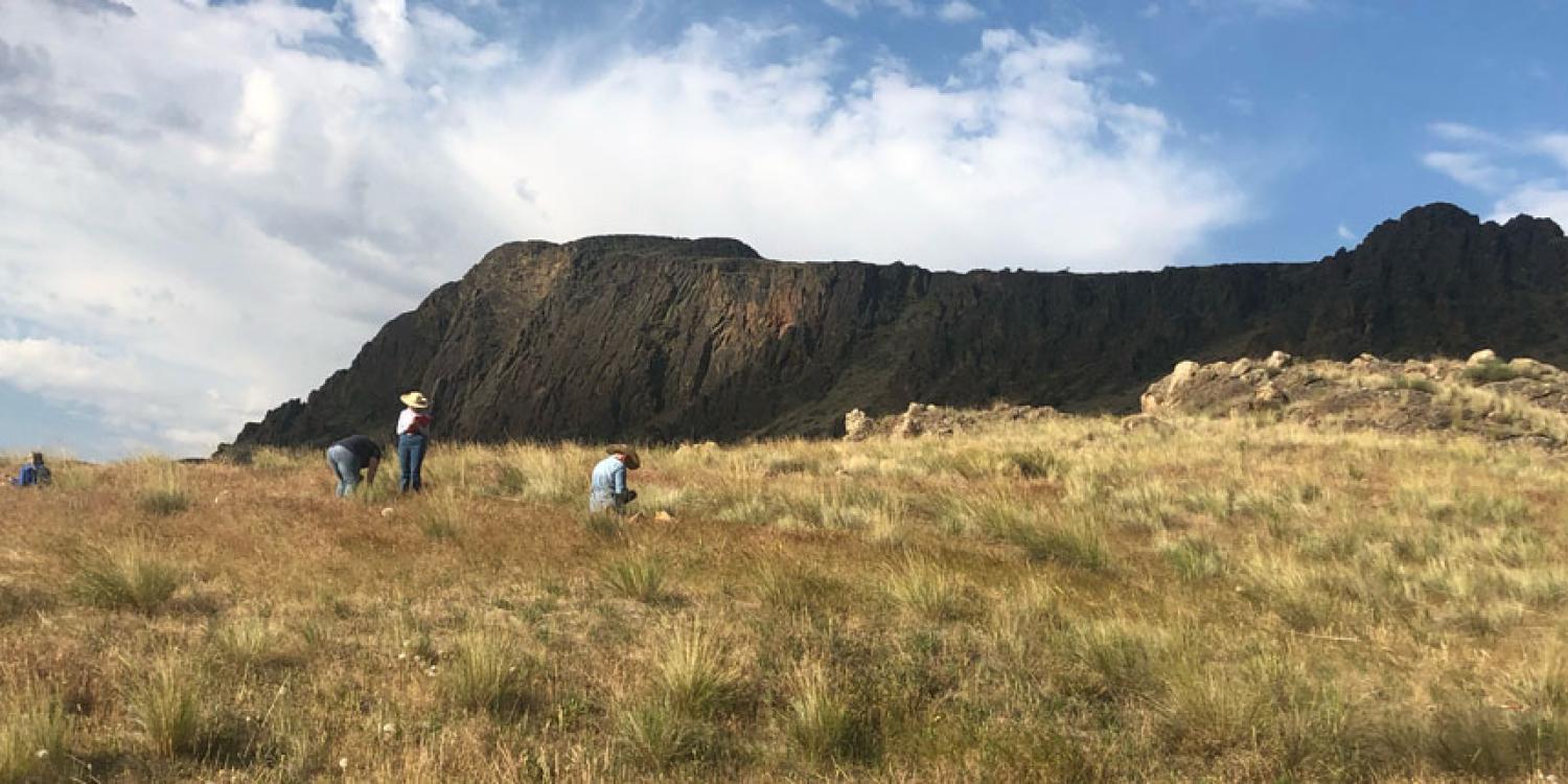 Several people wearing hats work in a grassy field near a rocky mesa under a partly cloudy sky.