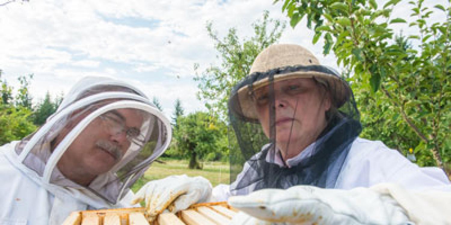 Master Beekeepers