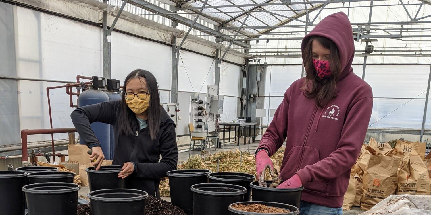 Two people wearing hoodies fill pots with soil and plant materials inside a greenhouse.