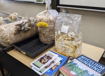 A classroom table displays mushroom growing kits in plastic bags alongside books and pamphlets about fungi cultivation and mycology.
