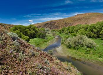 A winding creek flows through a lush green valley surrounded by sagebrush and hills under a vibrant blue sky.