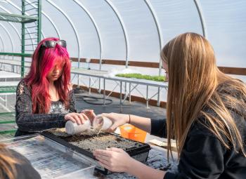 Two students work together in a greenhouse, spreading soil or seeds into trays on a table for planting.