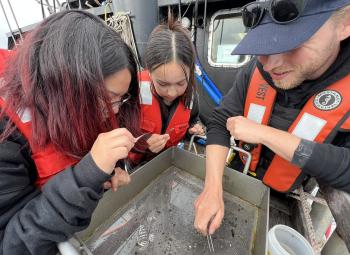 Three people wearing life vests examine marine samples with tweezers and magnifying lenses aboard a research vessel.