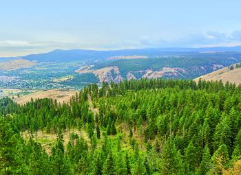Oregon landscape
