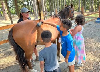 Children groom a brown horse with brushes under the guidance of an adult at a forested outdoor stable during a 4-H summer program.