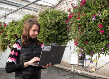 A woman works on a laptop in a greenhouse, surrounded by large hanging baskets of colorful flowering plants.