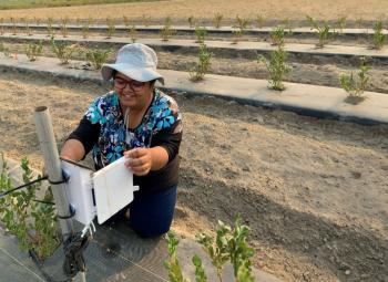 A woman wearing a sun hat kneels in a blueberry field while collecting data on a monitoring device.