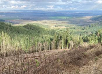 A sweeping view of a Douglas-fir forest covering rolling hills, with patchwork farmland visible in the valley below under a cloudy sky.