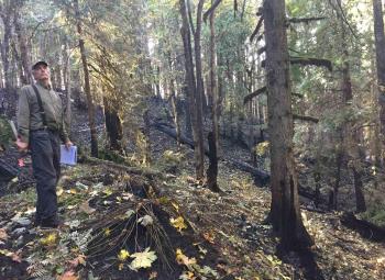 A forester stands on a steep, recently burned hillside, holding a tool and clipboard while assessing fire damage among scorched trees and fallen logs.