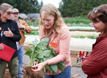 Shannon Cappellazzi holds up a plant to show its roots to a small group of adults during a hands-on workshop in a vegetable field.
