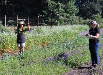 Teresa Retzlaff of 46 North Farm speaks to participants during a field day in a coastal farm field planted with flowering cover crops.