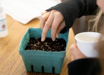 A youth plants small seeds into soil in a container while holding a cup of seeds nearby.