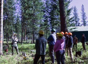 Micah Schmidt demonstrates tree-climbing safety techniques to participants wearing helmets during a forestry training in a pine forest.