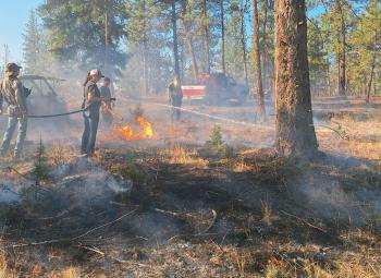 Fire crew conducts a prescribed burn in a pine forest, using drip torches and hoses to manage low flames across dry grass and forest floor while smoke drifts through the trees.