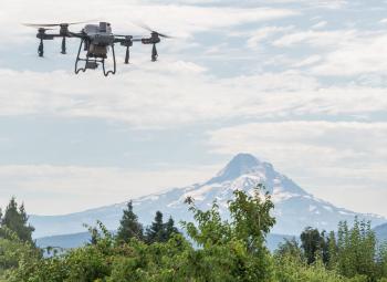 Agricultural drone flies above orchard trees with Mount Hood rising in the background under a partly cloudy sky.