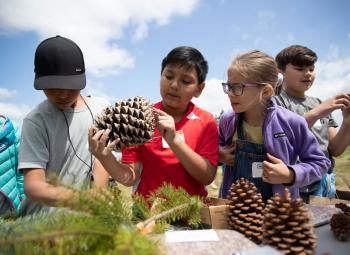 A boy holds a large pine cone as he and a girl look at ir.