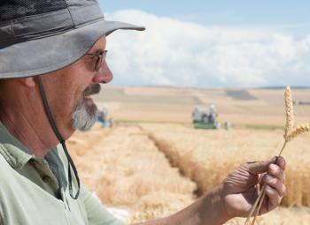 Bob Zemetra, OSU professor of plant breeding and genetics, at his test plots at the Columbia Basin Agricultural Research Center near Pendleton, Ore.