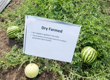 A sign says "Dry Farmed" with two watermelons on the ground below it.