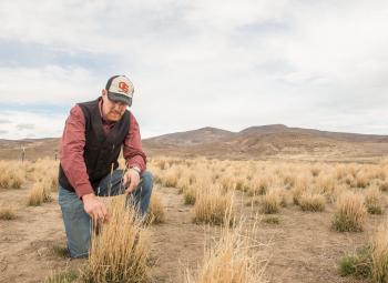 Dustin Johnson, associate professor of practice and Extension livestock and rangeland field faculty