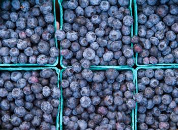 Got it! Here's a one-sentence alternative text description for the image:  "A top-down view of multiple green cartons filled with fresh, ripe blueberries."