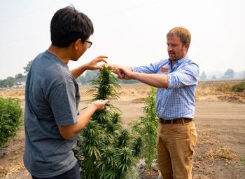 Govinda Shrestha (left) and Gordon Jones are standing as they look at the leaves on a hemp plant.