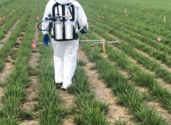 A person wearing a protective suit sprays grass seed crops in a field.