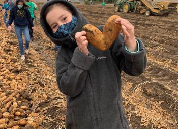 A youth participant in the Klamath County Farm to School and School Garden program finds a potato shaped like a heart at a limited-attendance, socially-distanced harvest event.